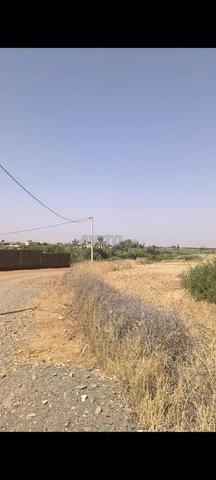 1 hectare titré sur la route d'Ourika km 26