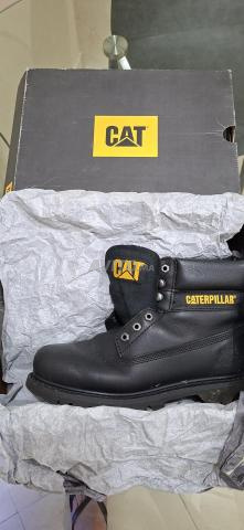 Caterpillar 41 - 2
