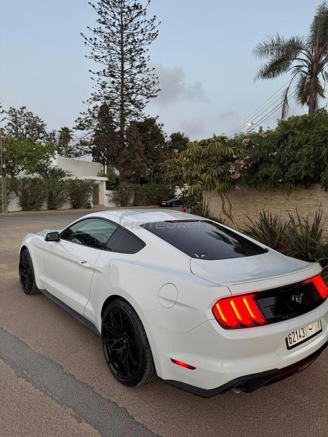 ford mustang cope 