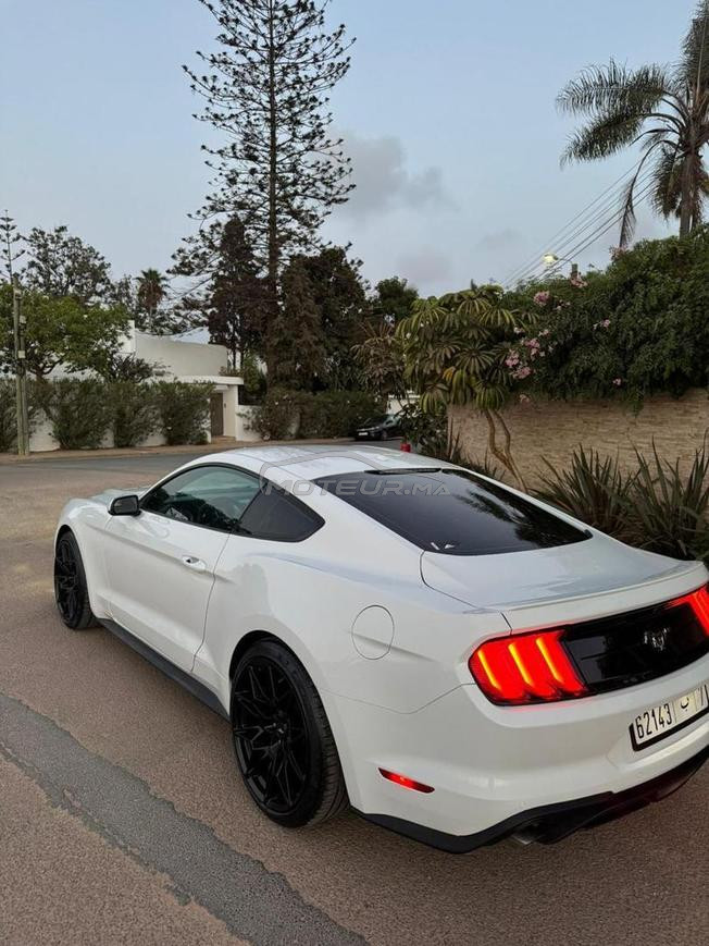 ford mustang cope 