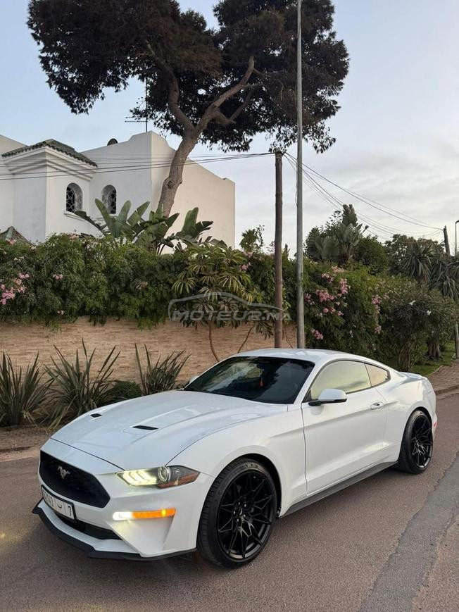 ford mustang cope 