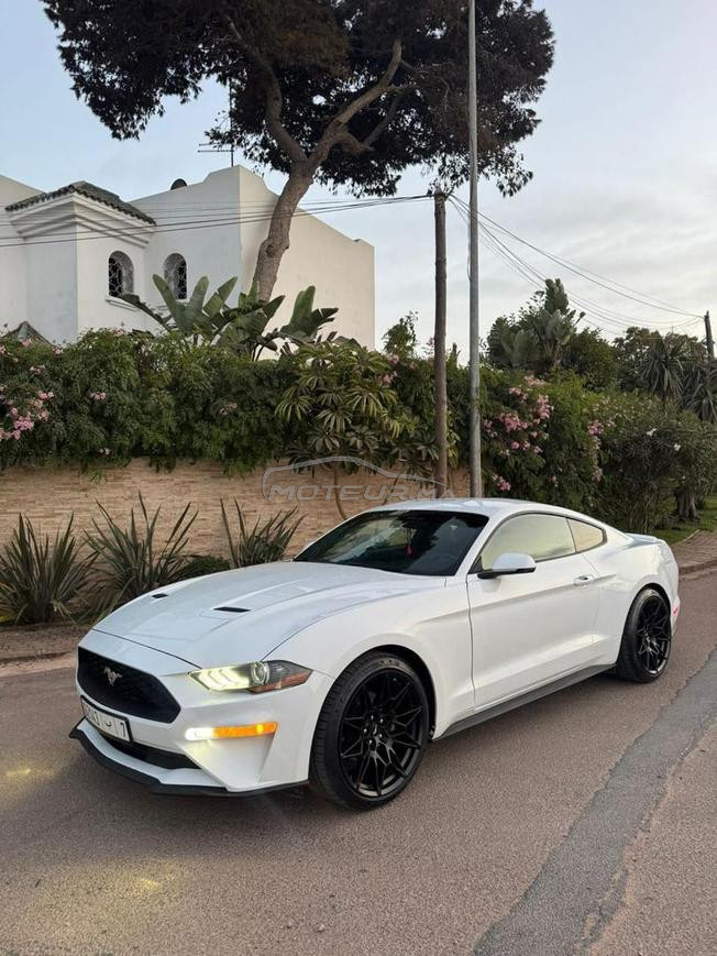 ford mustang cope 