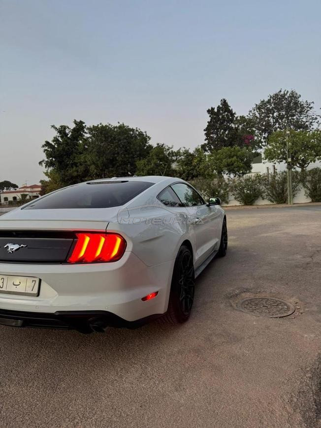 ford mustang cope 