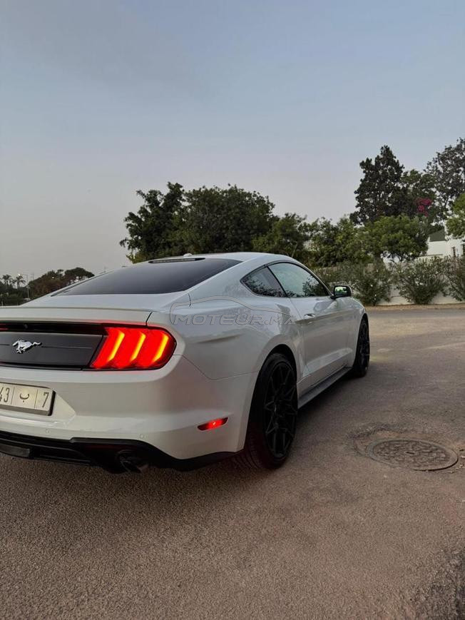 ford mustang cope 
