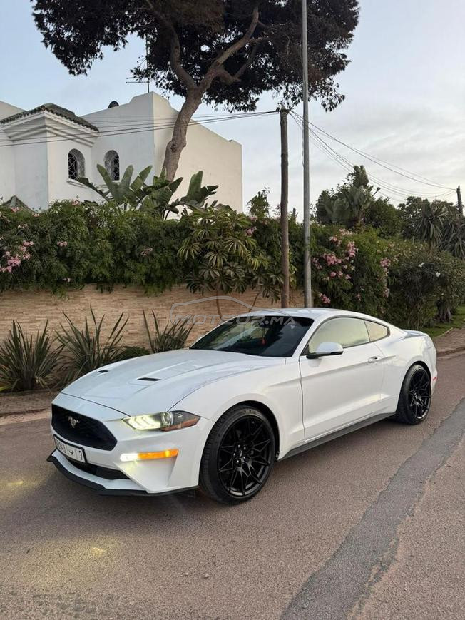ford mustang cope 