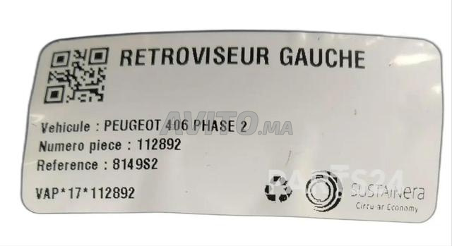 Rétroviseur conducteur Peugeot 406 2002 - 2