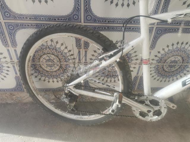 Grand vélo à vendre - 2