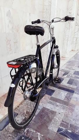 Gazelle Chamonix Plus - 2