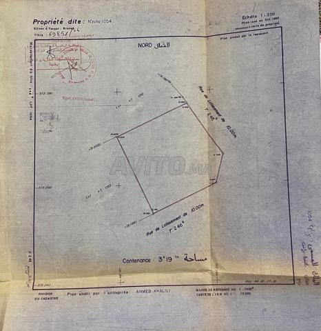 Terrain constructible pour villa - 2