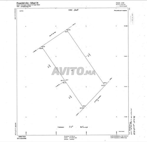 Un terrain de premier choix adapté - 2
