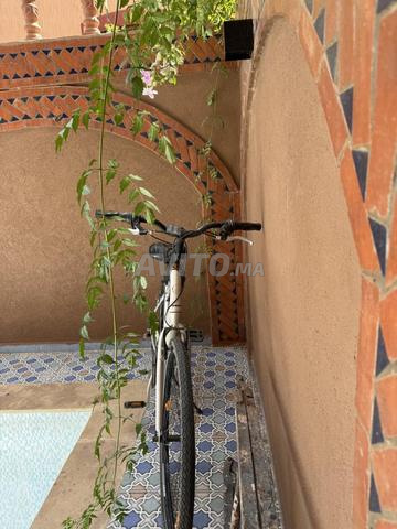 Vélo Giant à vendre - 2