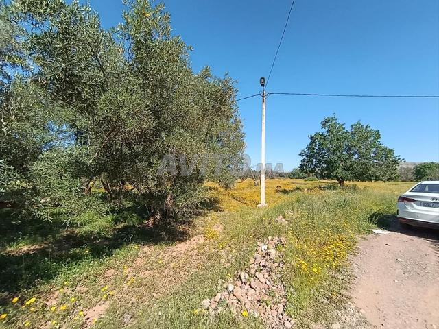 Terrain à vendre