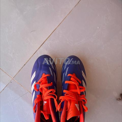 Predator originales taille 42 - 2