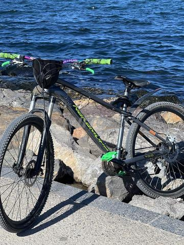 Vélo de loisir - 2