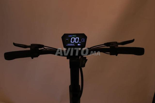 Livraison Gratuite - 2