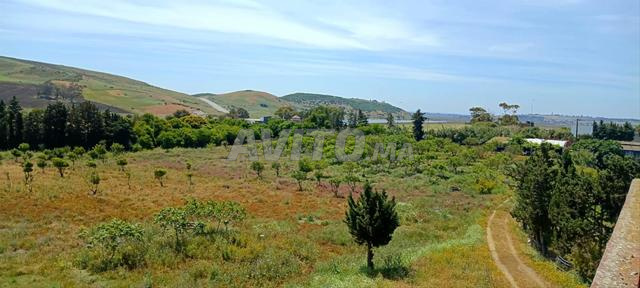 TERRAIN D'EXCEPTION À VENDRE LIXUS LARACHE