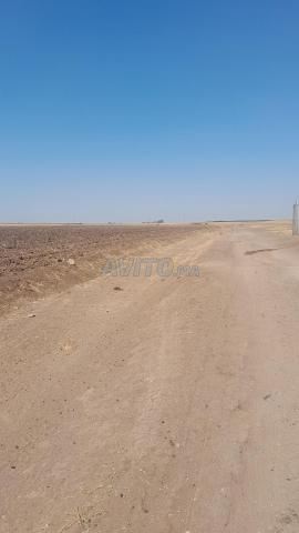 Terrain agricole - 2