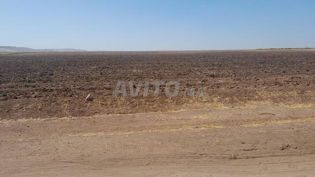 Terrain agricole