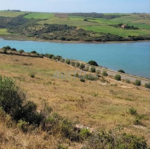 TERRAIN À VENDRE LARACHE, Offre exceptionnelle