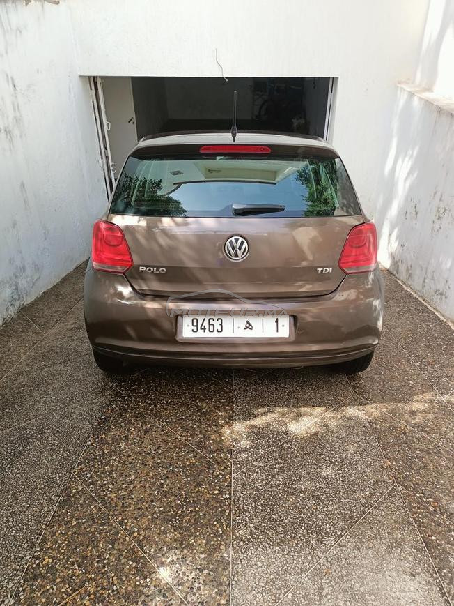 polo  fin 2014 à vendre 