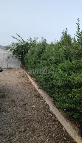 Ferme prête à vendre à Ouled Teima, avec maison et tente - 2
