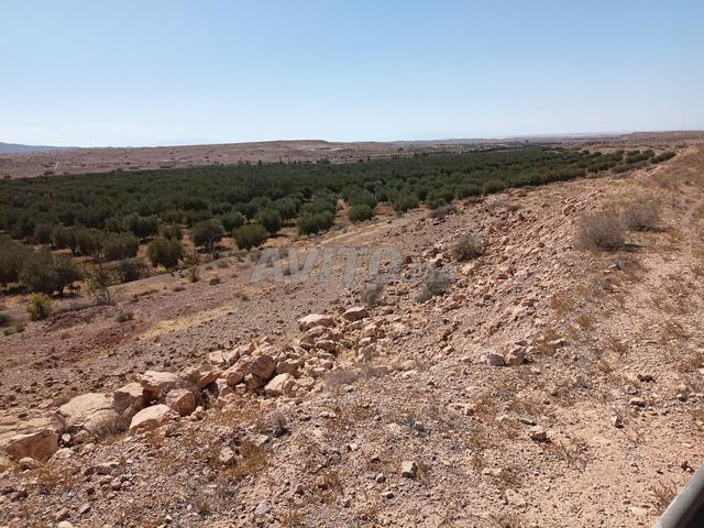 مزرعة جميلة مجهزة بالكامل - 2