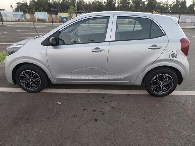 kia picanto