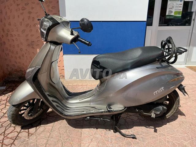 Moto Mitt 2024 - 2