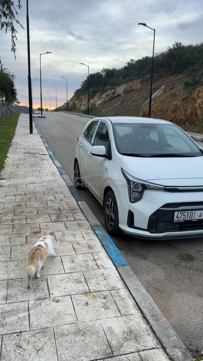 belle voiture