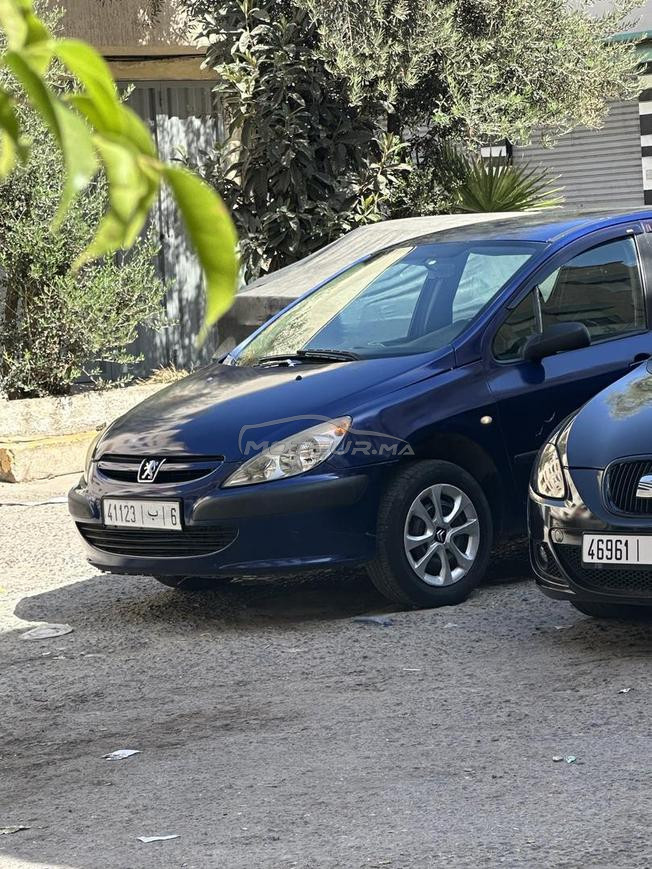 peugoet 307