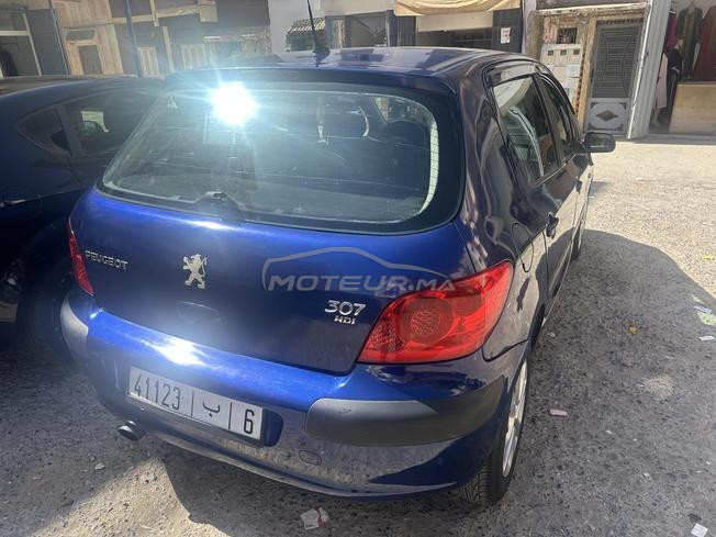 peugoet 307