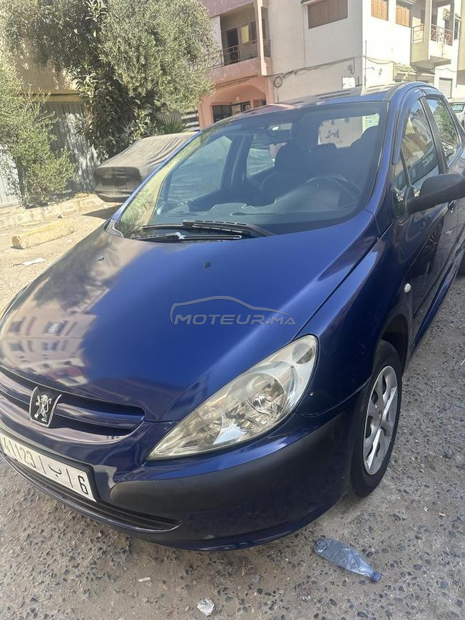 peugoet 307