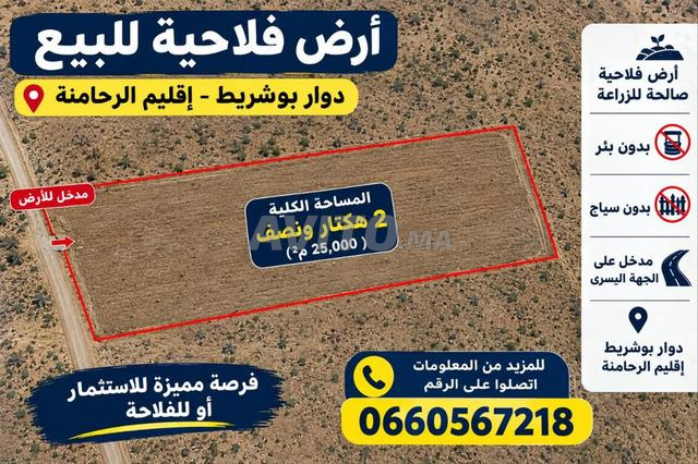Terrain agricole à vendre à Bouchane – Superficie 2.5 hectares