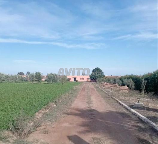 6000m² construits - 2