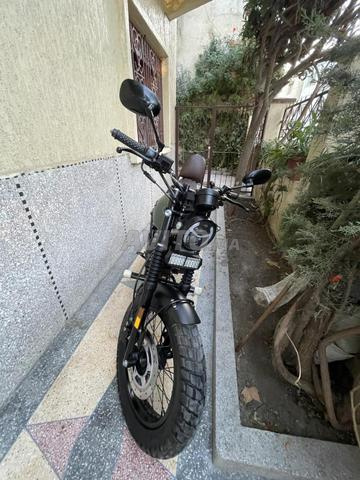 Cimatti bobber cc49 modèle 2025 - 2