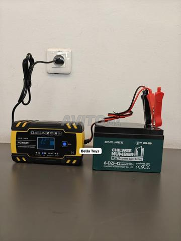 Chargeur batterie FOX 12V/24V - 2