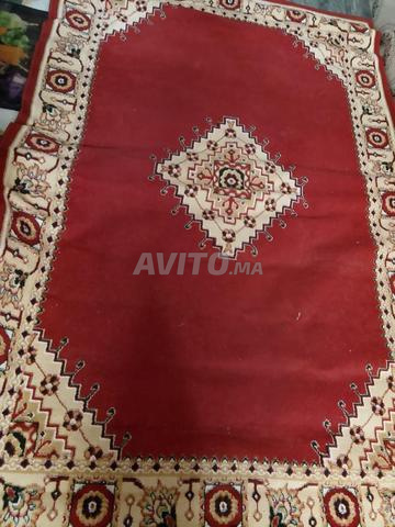 كاينة فالخارج ماسة نواحي اكادير - 2
