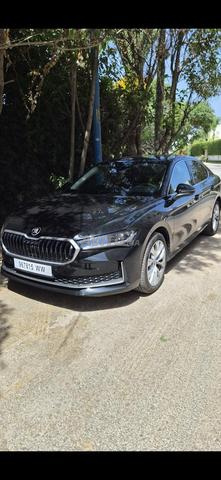Chauffeur privé avec Skoda Superb VIP - 2