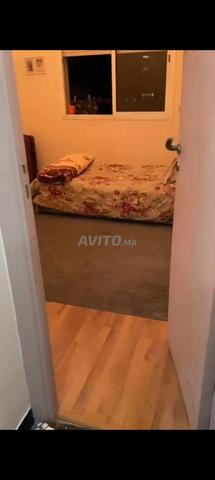 Appartement vide à Belvédère - 2