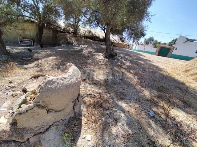Quartier Meqale - 2