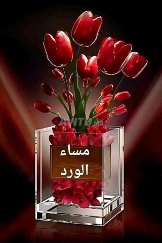 كازا إس دي معروف - 2