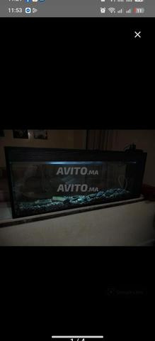 Aquarium à vendre - 2
