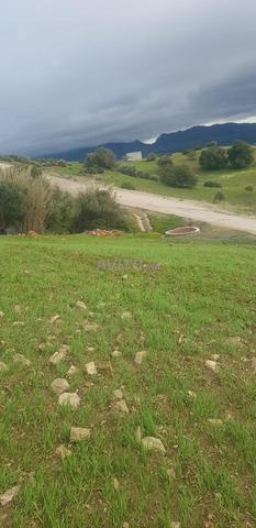 Terrain à vendre à Tétouan (titré)