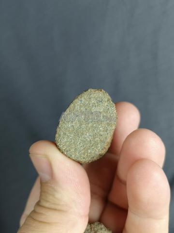 Météorite martienne nwa Météorite martienne - 2