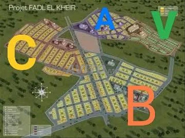 Terrain de 80 m² - 2