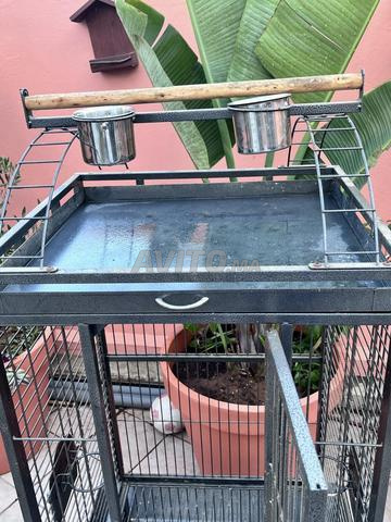 Cage pour grand perroquet - 2