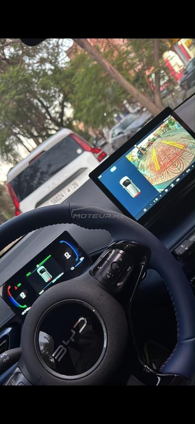byd  électrique 