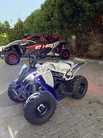 Quad LPR TROOPER 110 - 2