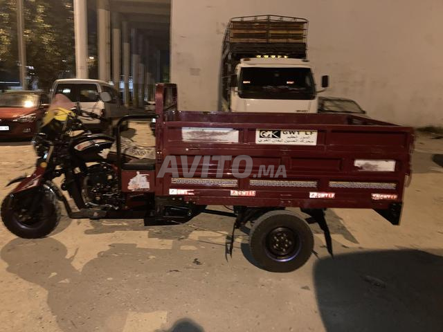 Tricycle - 2