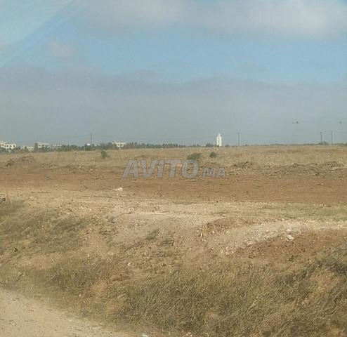 Terrain titré à Dar Bouazza à vendre d'une superficie de 14 hectares